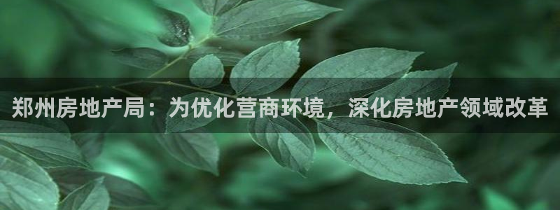 新宝5线路登录：郑州房地产局：为优化营商环境，深化房地产领域