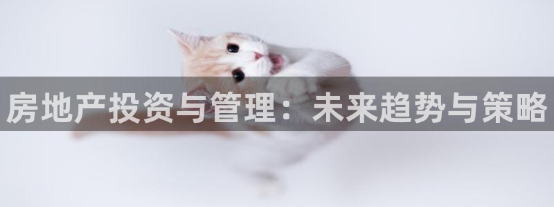 新宝5官方网站：房地产投资与管理：未来趋势与策略