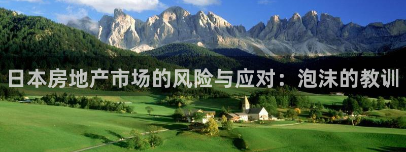新宝5吕74OOO5：日本房地产市场的风险与应对：泡沫的教训