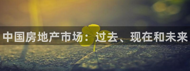 新宝5户端：中国房地产市场：过去、现在和未来