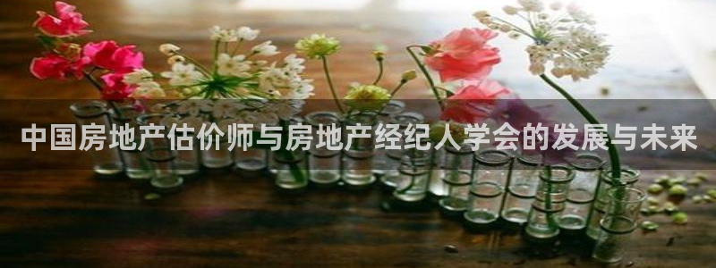 5新宝：中国房地产估价师与房地产经纪人学会的发展与未来
