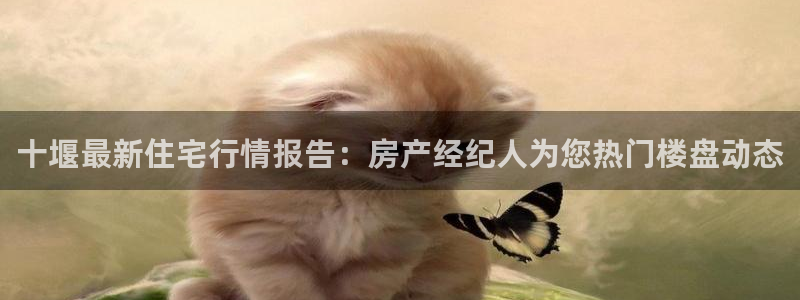 新宝 5测速：十堰最新住宅行情报告：房产经纪人为您热门楼盘动