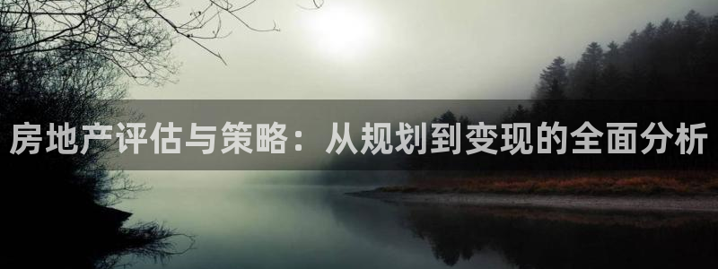 新宝5登陆地址：房地产评估与策略：从规划到变现的全面分析