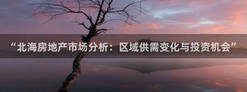 新宝5苹果手机下载：“北海房地产市场分析：区域供需变化与投资