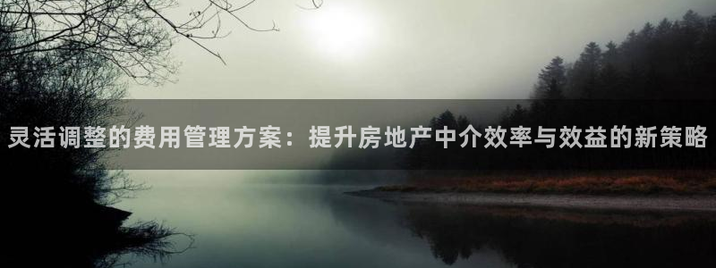 新宝5日：灵活调整的费用管理方案：提升房地产中介效率与效益的