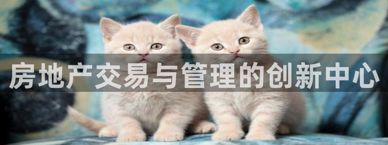 新宝5登录平台：房地产交易与管理的创新中心