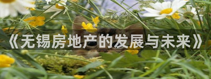 新宝5客户端登录：《无锡房地产的发展与未来》