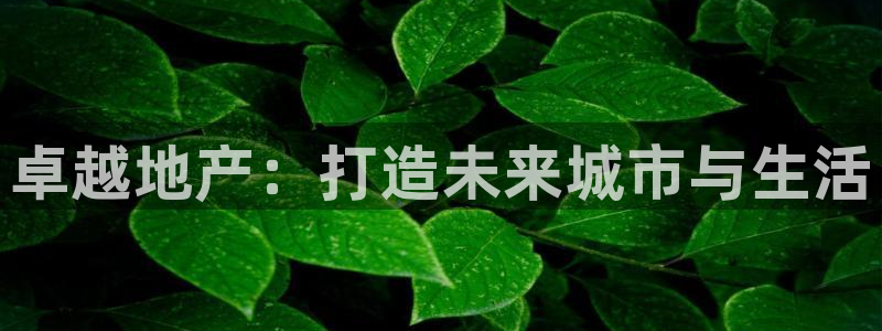 新宝5是什么：卓越地产：打造未来城市与生活