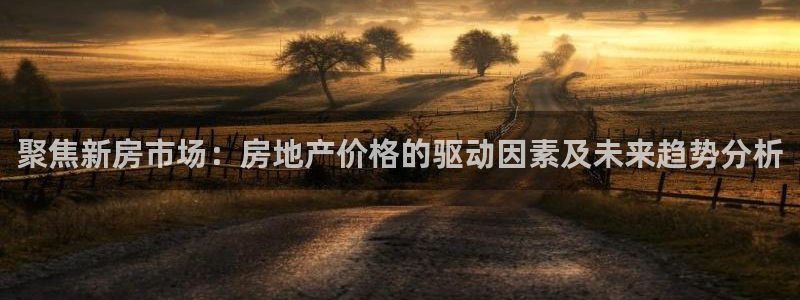新宝5账号注册：聚焦新房市场：房地产价格的驱动因素及未来趋势