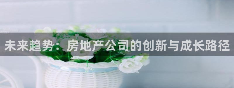 新宝堂新会陈皮5年