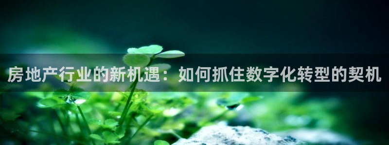 新宝5骗术：房地产行业的新机遇：如何抓住数字化转型的契机
