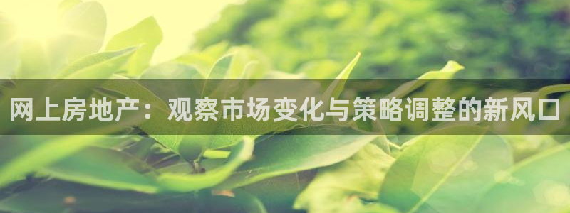 新宝5唯一：网上房地产：观察市场变化与策略调整的新风口
