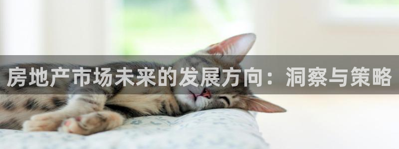 新宝5注册：房地产市场未来的发展方向：洞察与策略