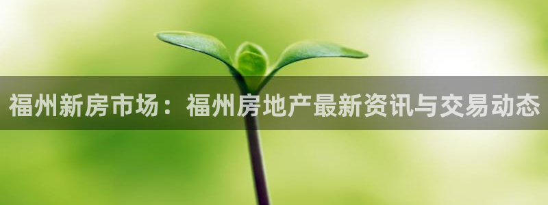 新宝5招商部：福州新房市场：福州房地产最新资讯与交易动态