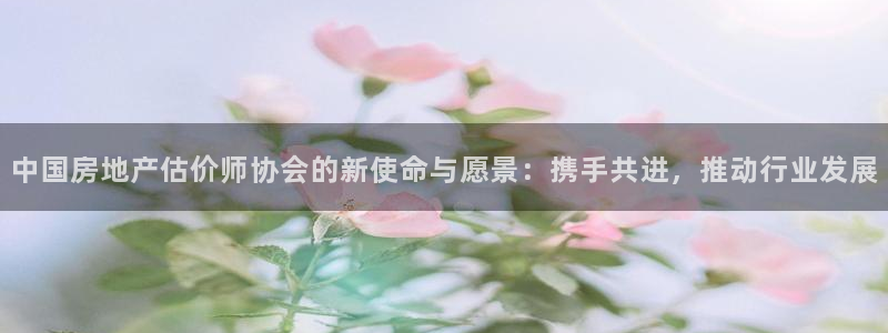 新宝5电脑