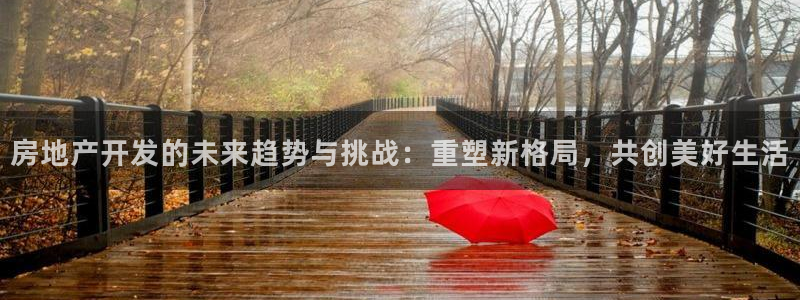 新宝5娱乐代理：房地产开发的未来趋势与挑战：重塑新格局，共创