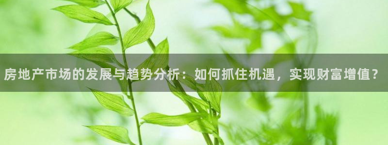 新宝5娱乐方：房地产市场的发展与趋势分析：如何抓住机遇，实现