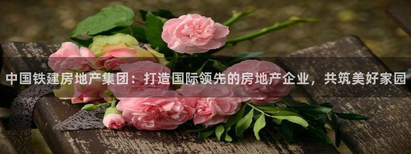 新宝5巅峰：中国铁建房地产集团：打造国际领先的房地产企业，共