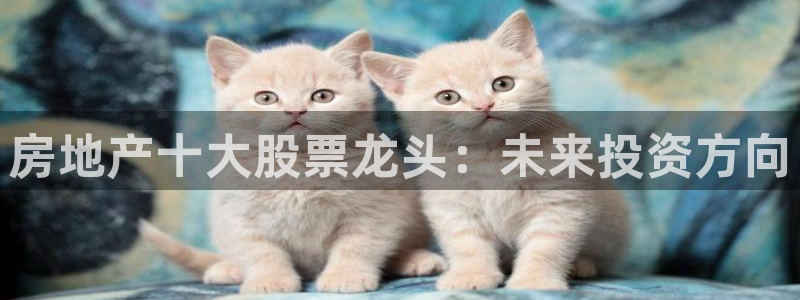 新宝5分彩：房地产十大股票龙头：未来投资方向