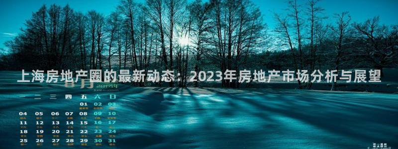 5新宝：上海房地产圈的最新动态：2023年房地产市场分析与展