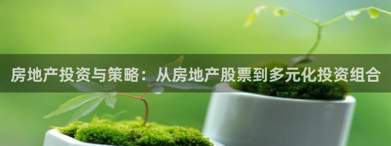 新宝5app：房地产投资与策略：从房地产股票到多元化投资组合