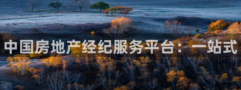 新5宝：中国房地产经纪服务平台：一站式