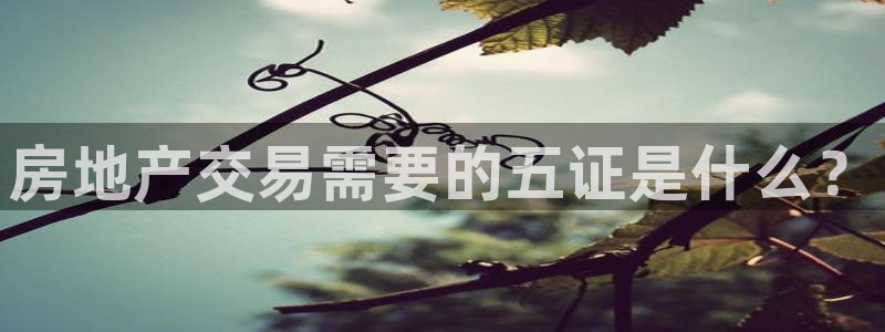 新宝5-：房地产交易需要的五证是什么？