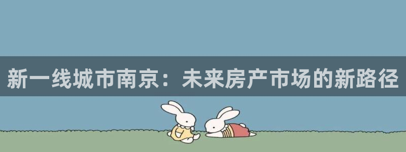 新宝奇迹GG5：新一线城市南京：未来房产市场的新路径