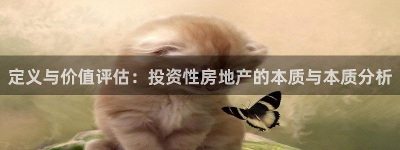 2022新宝骏rs 5：定义与价值评估：投资性房地产的本质与
