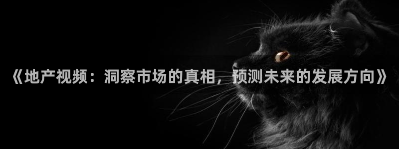 新宝5系列：《地产视频：洞察市场的真相，预测未来的发展方向》