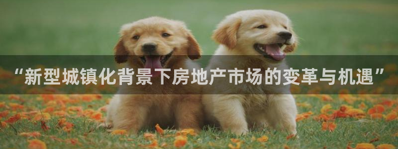 新宝5测速登录：“新型城镇化背景下房地产市场的变革与机遇”