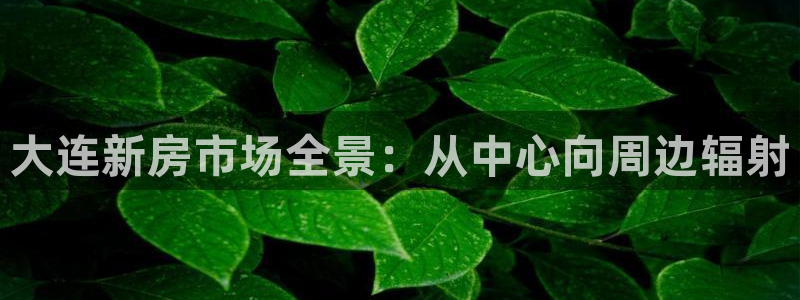 新宝5是什么样子的