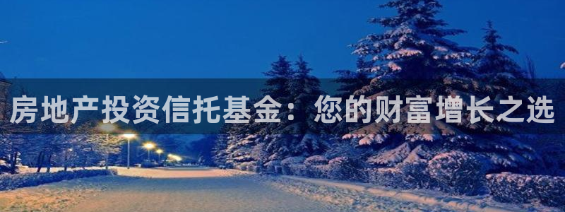 新宝5寂创33300散：房地产投资信托基金：您的财富增长之选