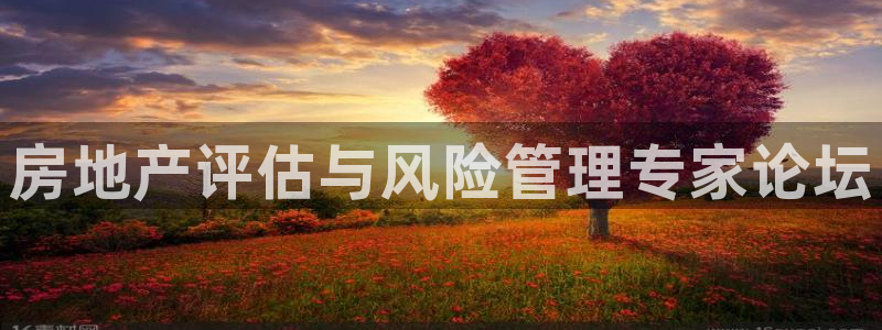 新宝 5测速：房地产评估与风险管理专家论坛