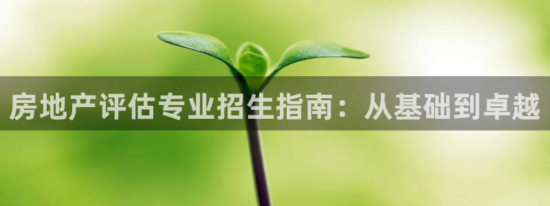 新宝5客户端登录：房地产评估专业招生指南：从基础到卓越