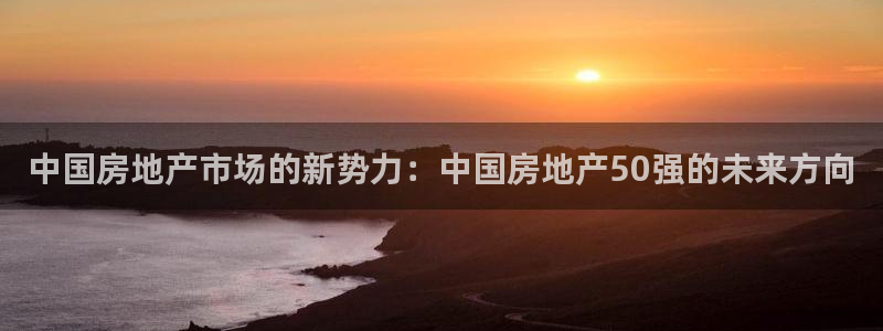新宝5褚32OO59：中国房地产市场的新势力：中国房地产50