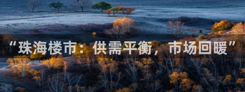 新宝集团新宝5：“珠海楼市：供需平衡，市场回暖”