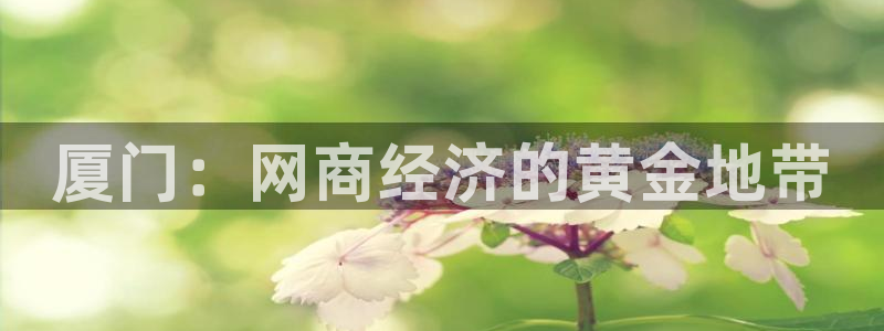 新宝5可靠吗：厦门：网商经济的黄金地带
