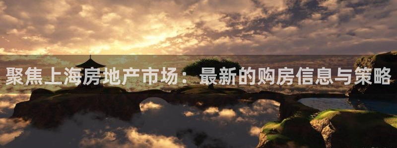 新宝5登录网址：聚焦上海房地产市场：最新的购房信息与策略
