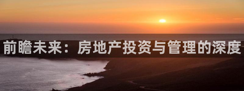 新宝3得74OO5：前瞻未来：房地产投资与管理的深度