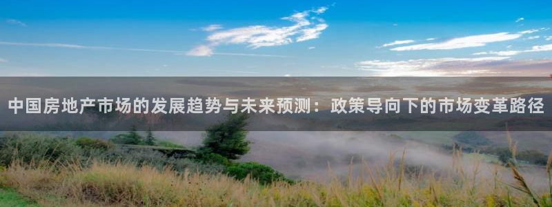 新宝5上70 667：中国房地产市场的发展趋势与未来预测：政