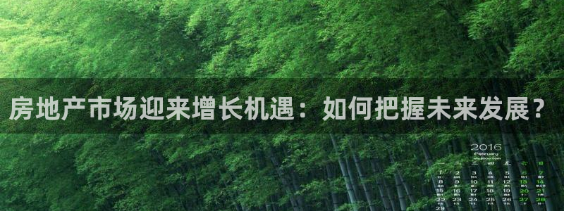 新宝5现在还能玩吗：房地产市场迎来增长机遇：如何把握未来发展