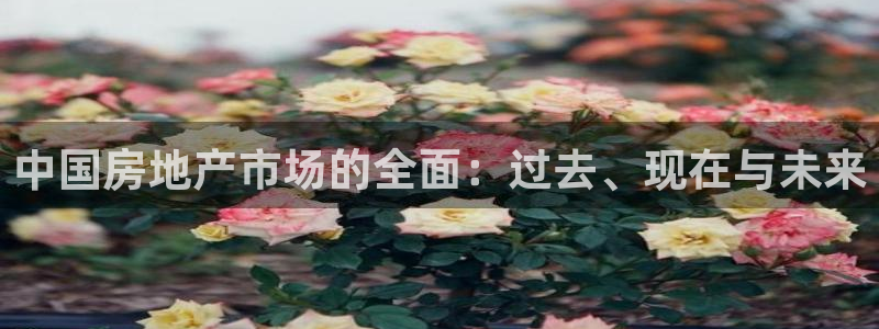 新宝5下载：中国房地产市场的全面：过去、现在与未来