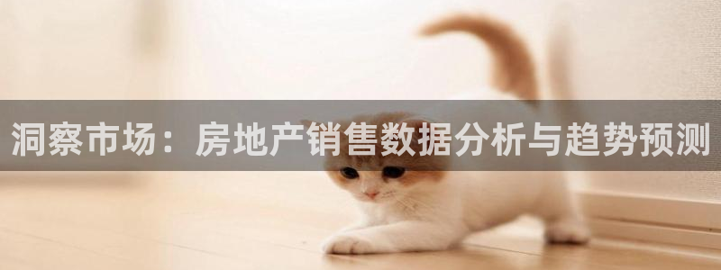 新5宝：洞察市场：房地产销售数据分析与趋势预测