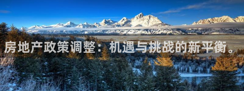 新宝5测速平台登录：房地产政策调整：机遇与挑战的新平衡。