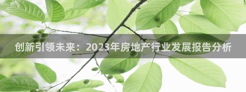 新宝5上70 667：创新引领未来：2023年房地产行业发展