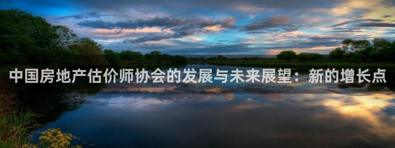 新宝5日：中国房地产估价师协会的发展与未来展望：新的增长点