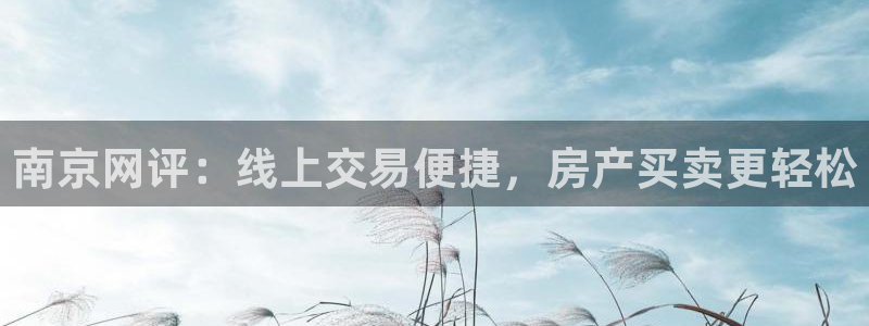 新宝5为啥开：南京网评：线上交易便捷，房产买卖更轻松