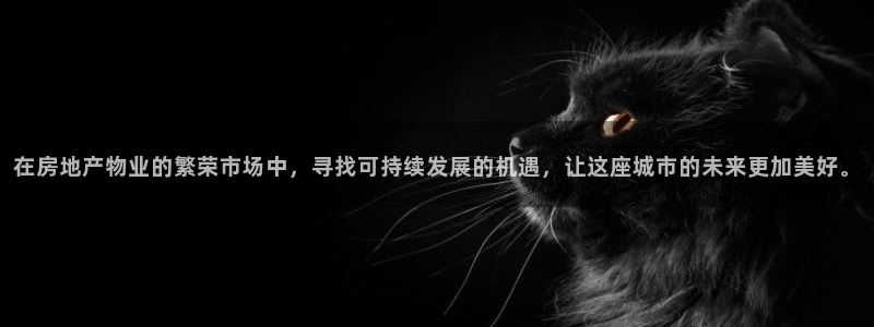 新宝5褚32OO59：在房地产物业的繁荣市场中，寻找可持续发