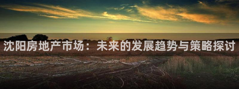 新宝5得74OOO5：沈阳房地产市场：未来的发展趋势与策略探